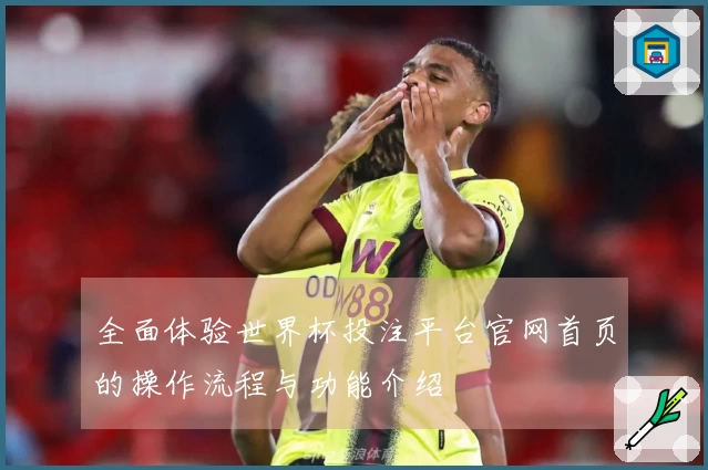 全面体验世界杯投注平台官网首页的操作流程与功能介绍