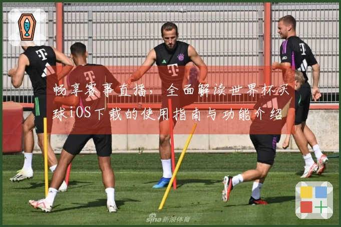 畅享赛事直播，全面解读世界杯买球iOS下载的使用指南与功能介绍