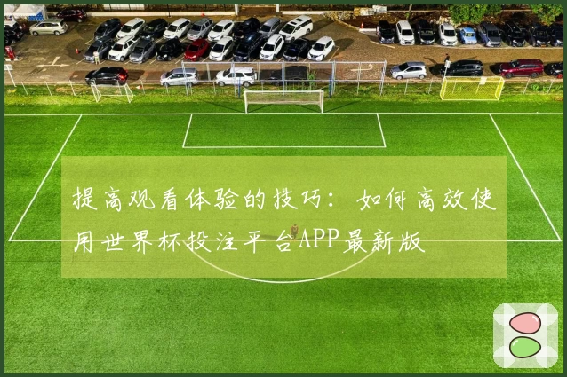 提高观看体验的技巧：如何高效使用世界杯投注平台APP最新版