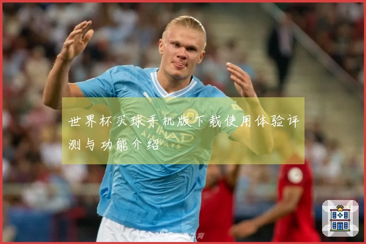 世界杯买球手机版下载使用体验评测与功能介绍