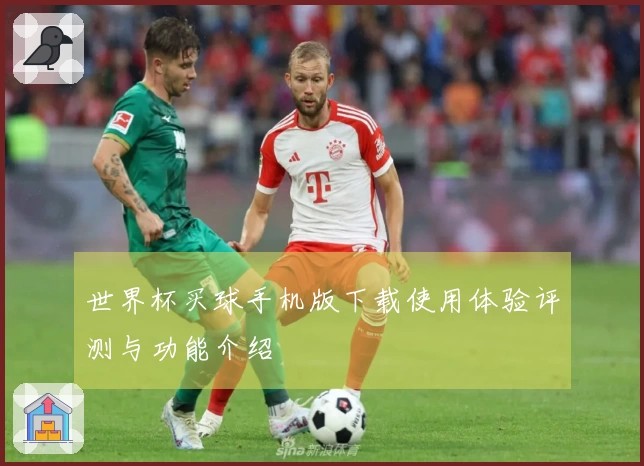 世界杯买球手机版下载使用体验评测与功能介绍