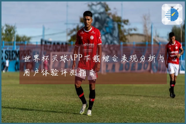 世界杯买球APP下载综合表现分析与用户体验评测指南